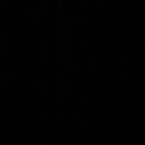 Meet your Posher, Jude